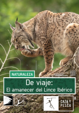 De viaje: el amanecer del Lince ibérico