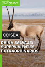 China salvaje: supervivientes extraordinarios