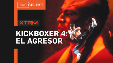 Kickboxer 4: El agresor