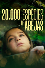 20.000 especies de abejas