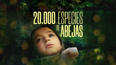 20.000 especies de abejas