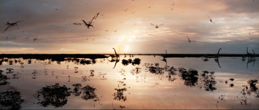 La Tierra: Humanidad