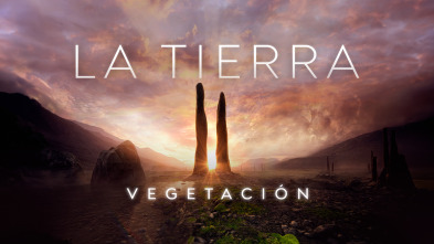 La Tierra: Vegetación