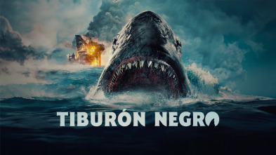 Tiburón negro