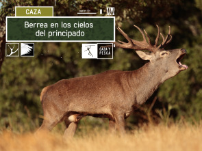 Berrea en los cielos del Principado