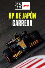 GP de Japón (Suzuka): GP de Japón: Carrera