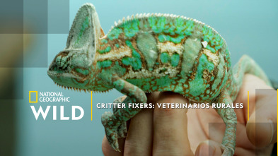 Critter Fixers: veterinarios rurales: Mundo de reptiles