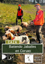 Batiendo jabalies en Coruxo