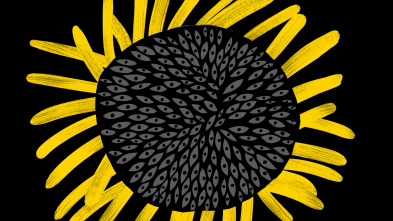 Girasol