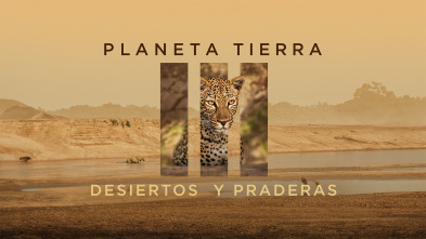 Planeta Tierra III: Desiertos y praderas