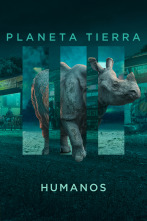 Planeta Tierra III: Humanos