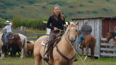 Una veterinaria...: Este no es mi primer rodeo