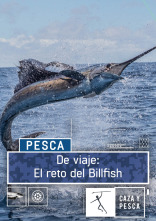 De viaje: El reto del Billfish