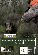 Monteando en el campo charro. 1ª parte