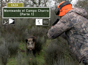 Monteando en el campo charro. 1ª parte