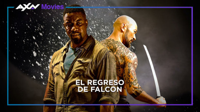 El regreso de Falcon