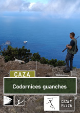 Codornices guanches