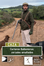 Certeros ballesteros: Zorzales amañados