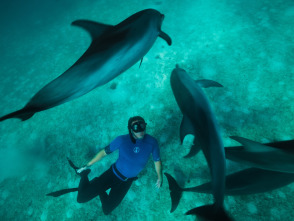 Ballenas con Steve Backshall 