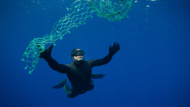 Ballenas con Steve...: Cazadoras