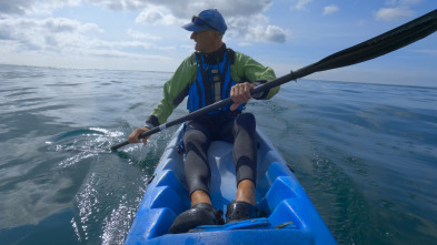 Ballenas con Steve...: Supervivientes