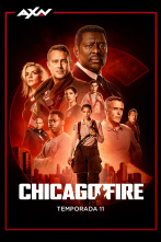 Chicago Fire (T11)