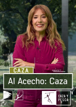 Al acecho caza (T2)