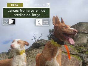 Lances monteros en los predios de Torga