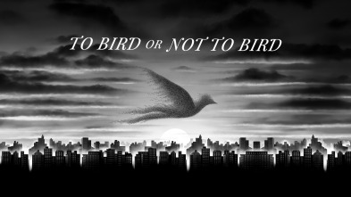 To Bird or Not To Bird