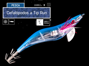 Cefalópodos a Tip Run