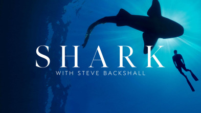 Shark with Steve Backshall 