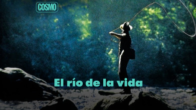 El río de la vida