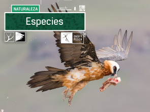 Especies (T3)