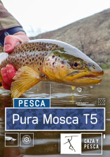 Pura mosca (T5)