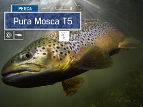 Pura mosca (T5)