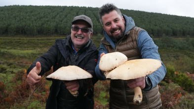 La cocina mágica de...: Setas gigantes de León