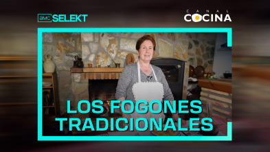 Los fogones tradicionales (T23)