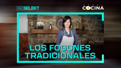 Los fogones tradicionales (T24)