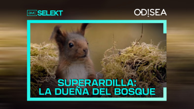 Superardilla: la dueña del bosque