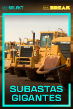 Subastas gigantes 