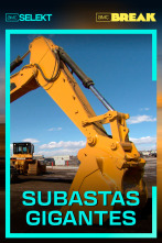 Subastas gigantes 