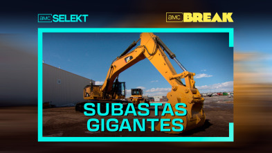 Subastas gigantes 