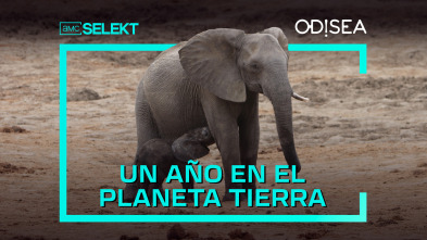 Un año en el planeta Tierra 