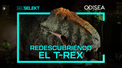 Redescubriendo el T-Rex