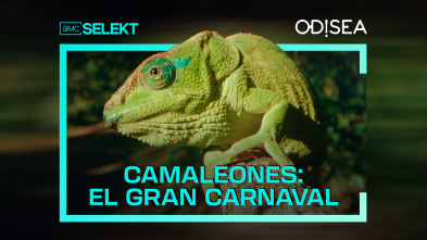Camaleones: el gran carnaval