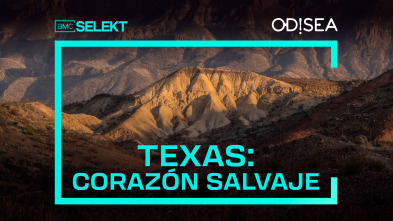 Texas: corazón salvaje