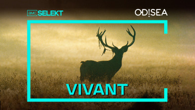 Vivant