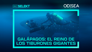 Galápagos: el reino de los tiburones gigantes