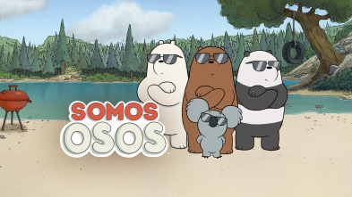 Somos osos, Season 4 (T4)