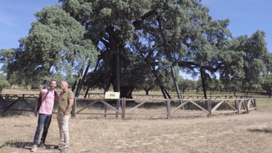 Enclaves: Sierra de Montánchez y Tamuja